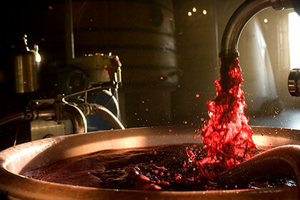 Vinification Château Pontet-Canet